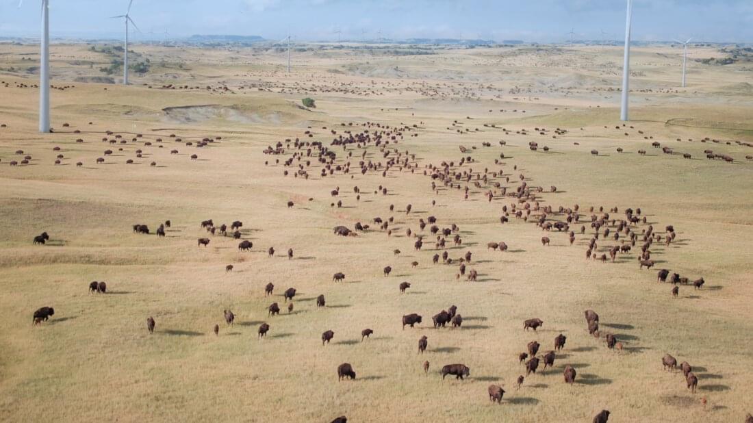 A Life On This Planet – Prairies