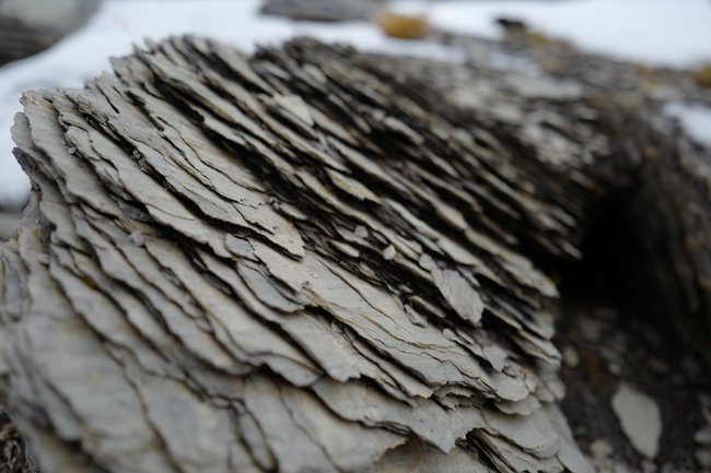 Your daily dose of tangentially related photography: Stone at the top of Massive Mountain in Alberta sharding into thin flakes.